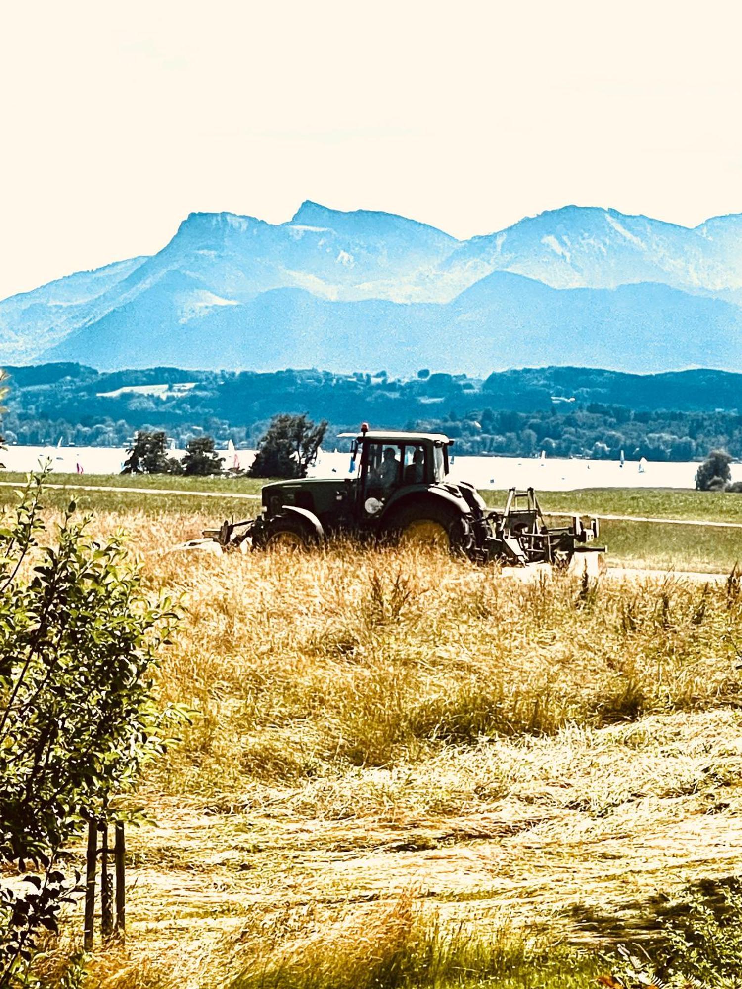 Zuhaeusl Am Chiemsee Appartements Breitbrunn am Chiemsee Bagian luar foto