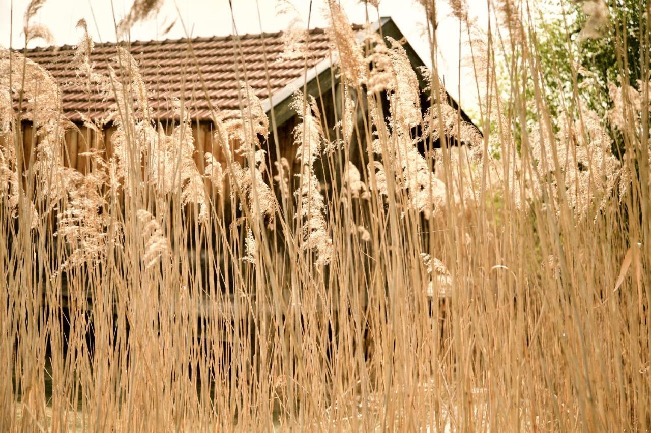 Zuhaeusl Am Chiemsee Appartements Breitbrunn am Chiemsee Bagian luar foto