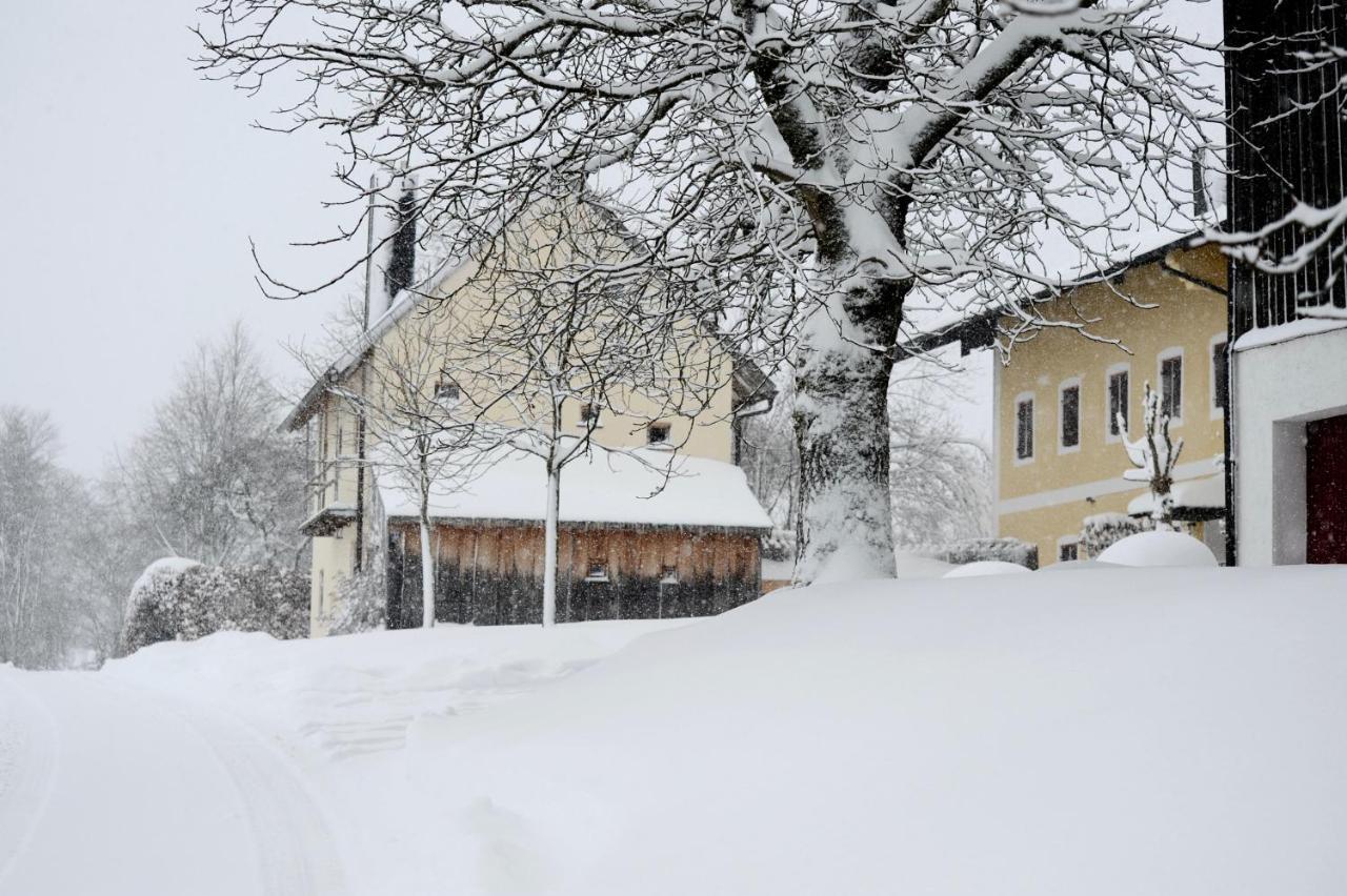 Zuhaeusl Am Chiemsee Appartements Breitbrunn am Chiemsee Bagian luar foto