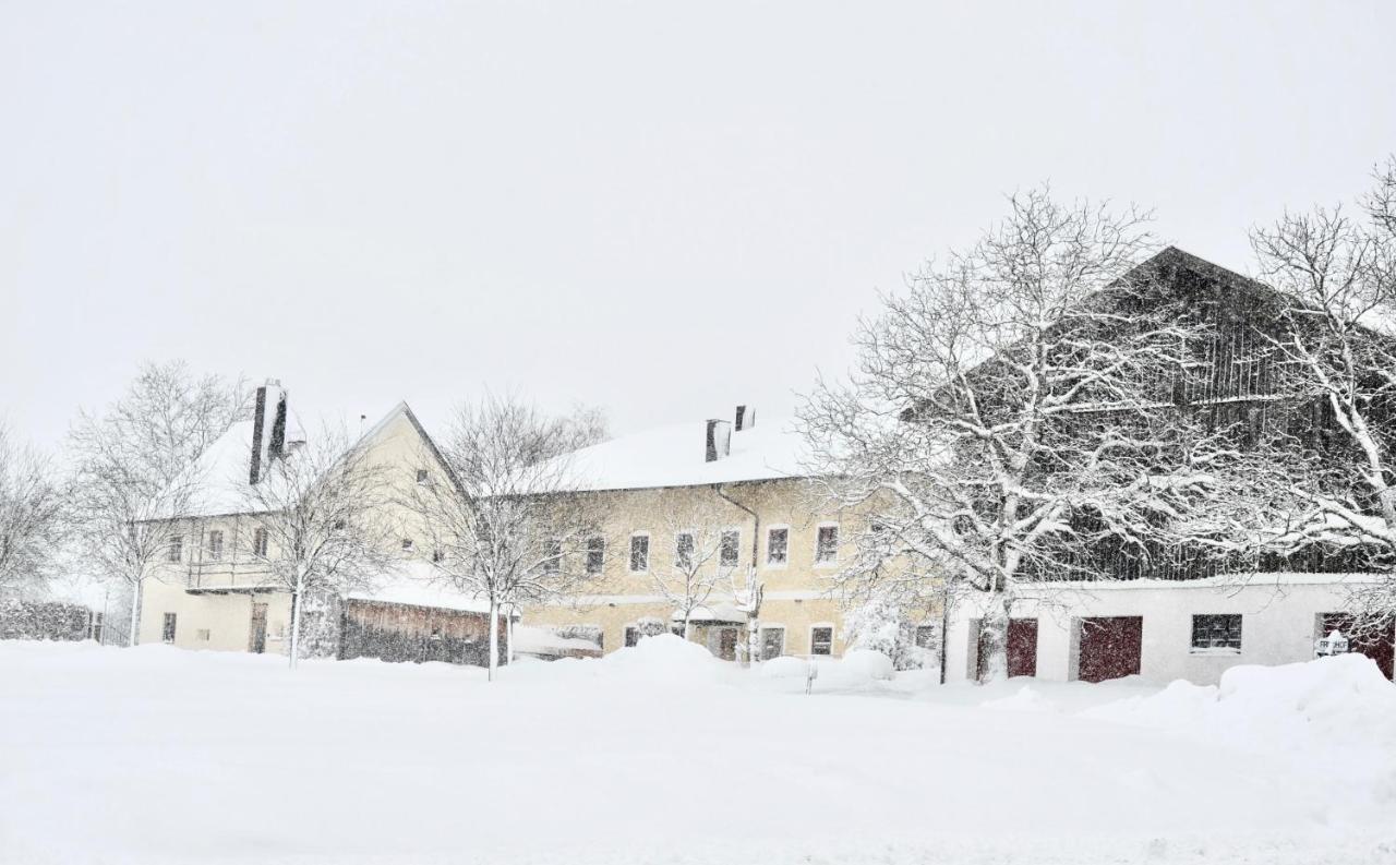 Zuhaeusl Am Chiemsee Appartements Breitbrunn am Chiemsee Bagian luar foto